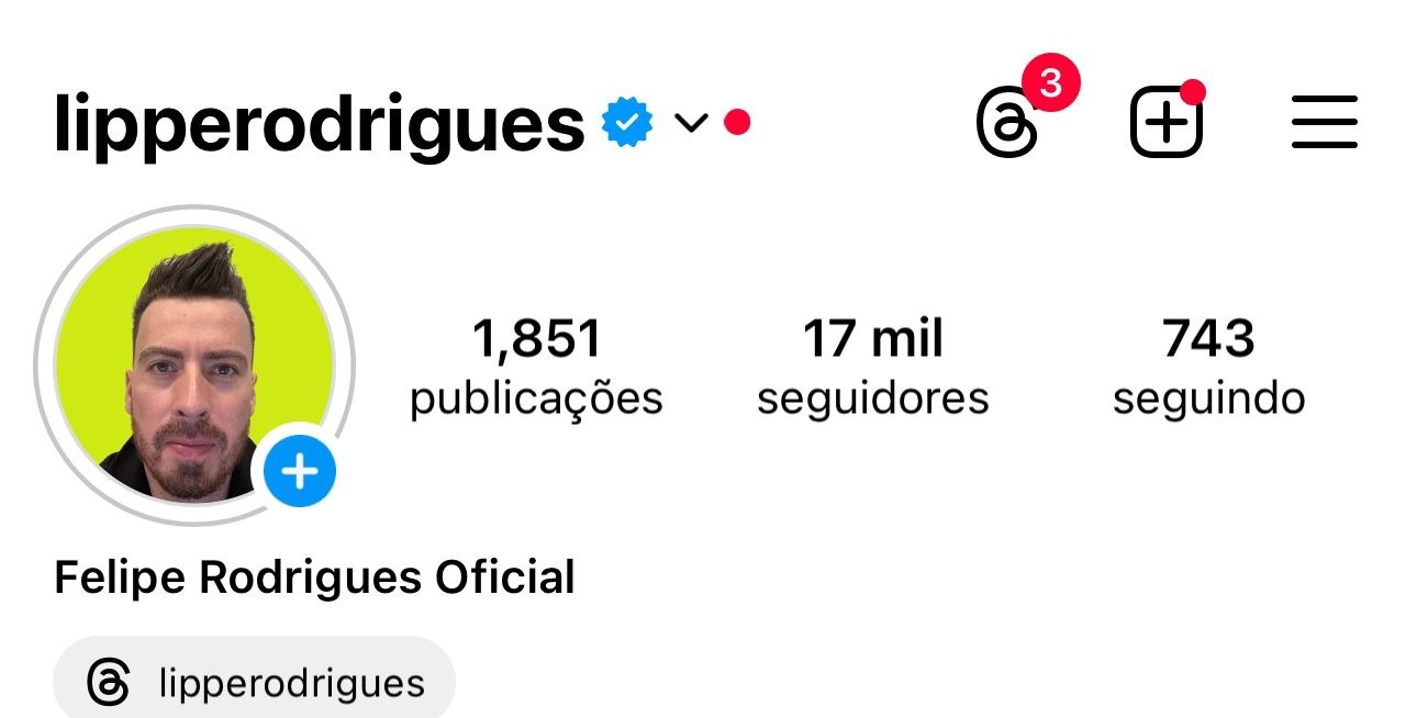 Perfil do @lipperodrigues antes — 17 mil seguidores